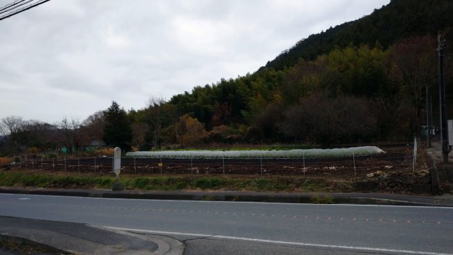 物件写真5