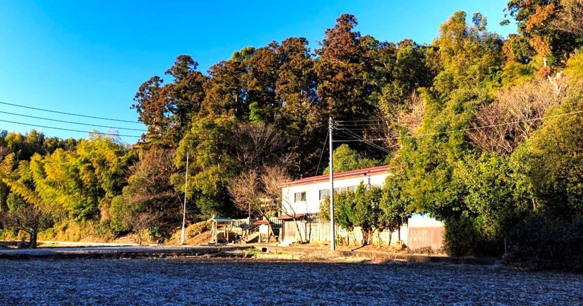 木々に囲まれた平屋