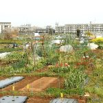 街化調整区域に建てられる建物とは？種類や可否の判断基準を解説