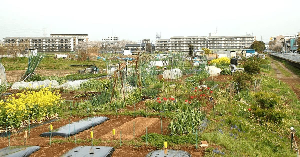 市街化調整区域にある農園