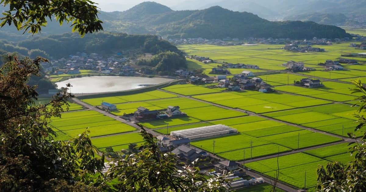 市街化調整区域と市街化区域の違い