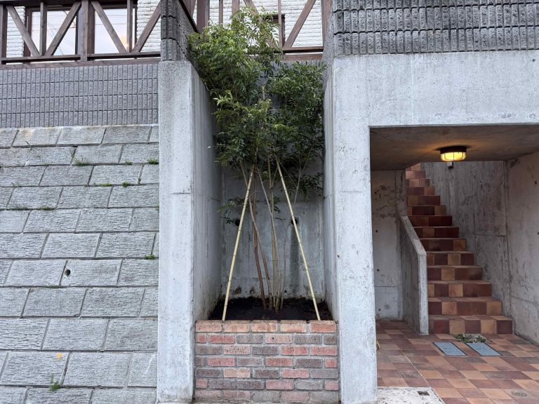 写真6